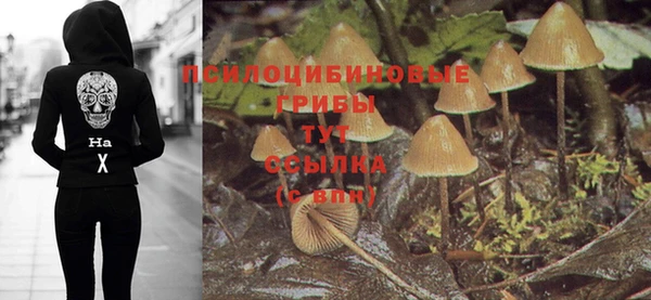 гашишное масло Зеленокумск