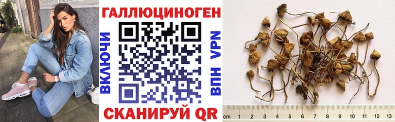 Галлюциногенные грибы MAGIC MUSHROOMS  Купить  Белый 