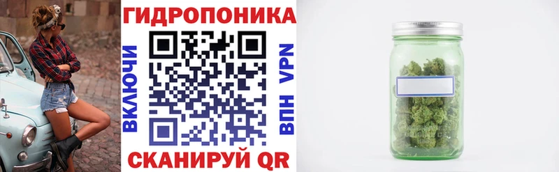 Купить  Белый  Бошки Шишки ГИДРОПОН 